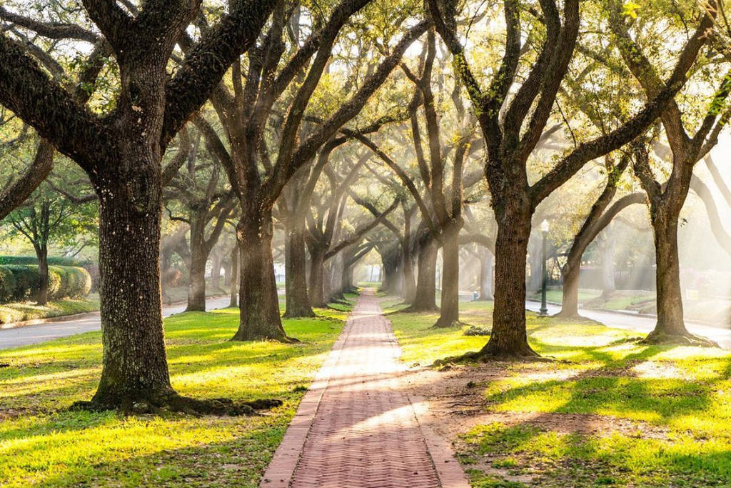 River Oaks, TX HR consulting services